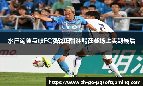 水户蜀葵与岐FC激战正酣谁能在赛场上笑到最后