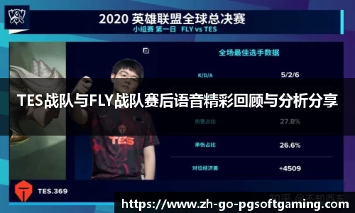TES战队与FLY战队赛后语音精彩回顾与分析分享