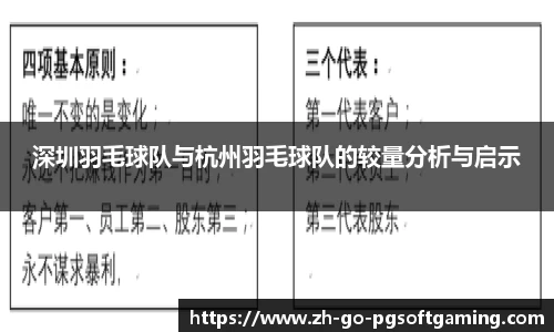 深圳羽毛球队与杭州羽毛球队的较量分析与启示